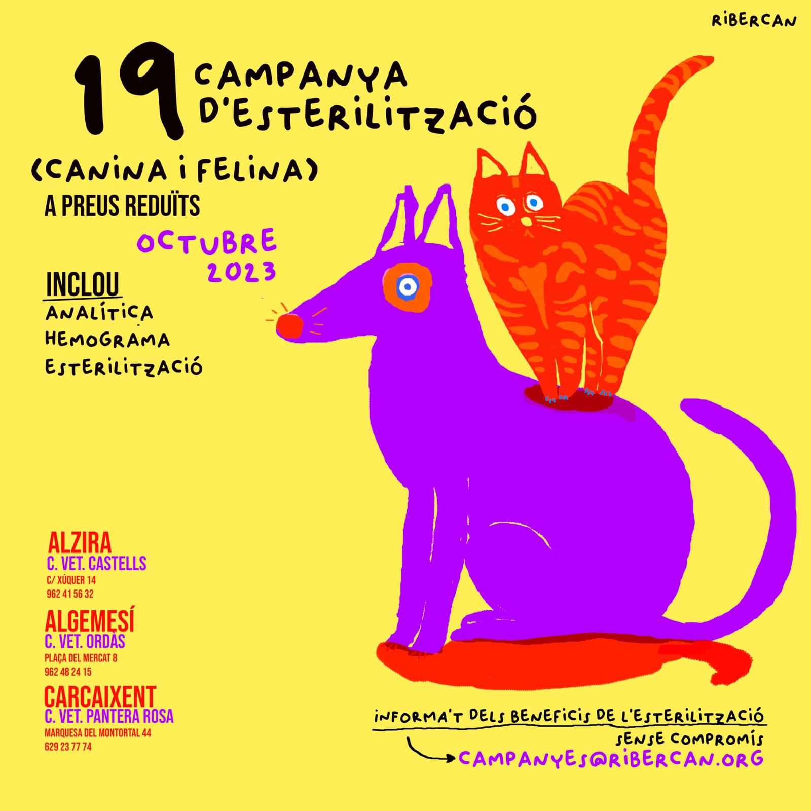 esterilizacion ribercan