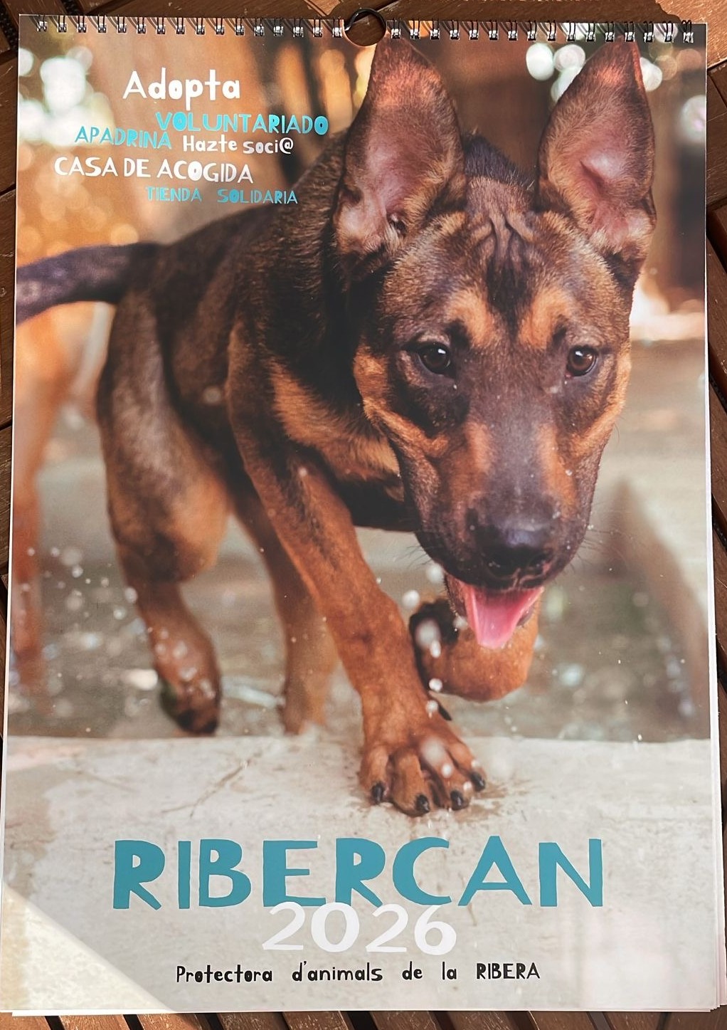 Calendario pared 2025