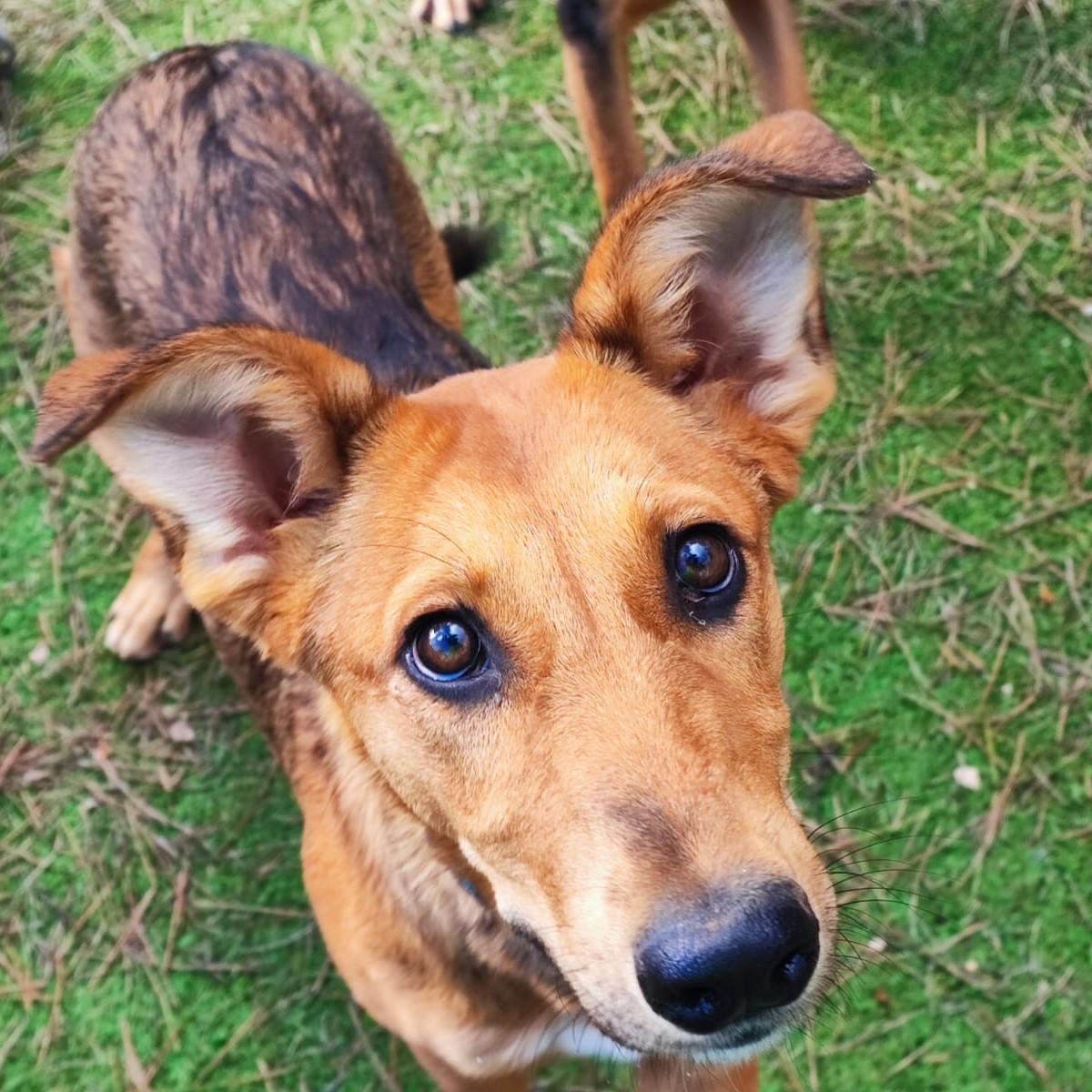 Lupita