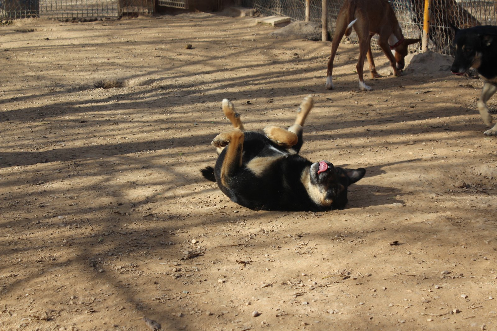Galería Glu