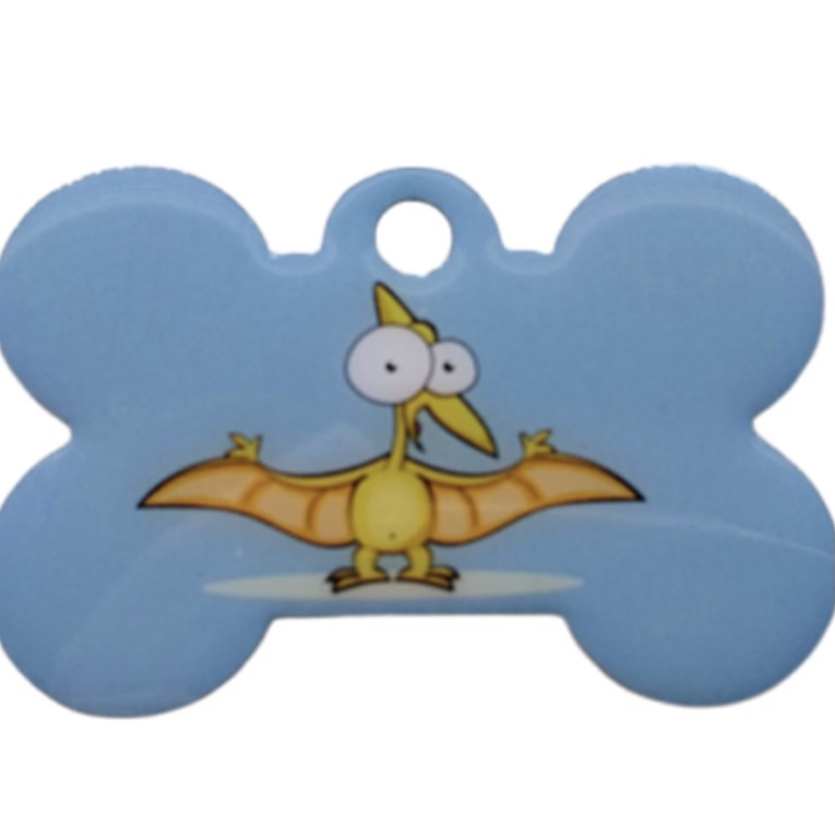 Placa identificativa - DINOSAURIO